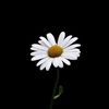 user3057262018106