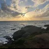 c4m_783