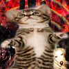 1nkcat
