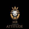 360_attitude1