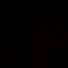 nose_060308