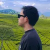 alwyqadry