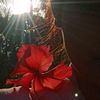 sharika_05212