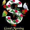 aburayhanrayhan652