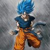 user8492511016