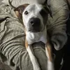 crazylegz214