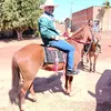 eng.jairotaboca