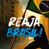 EcoDireitaClips