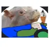 grejczu