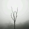 rael._24