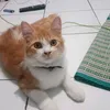 asqiarisa27