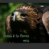 gionatanneri84