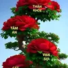 inh.ninh79