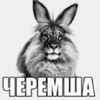 gambitoleg1125