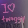 twiggyebk