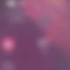 jelly_3877