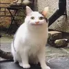 neroox69