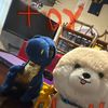 toyschoolfolorda9284