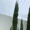 descofy