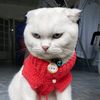 mimi_789_scotsh