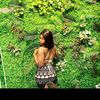 ego_oyibo0010
