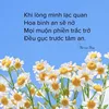 phamnguyen22487