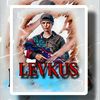 levkus_tdm