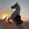 محسن علي الشملاني