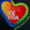 viver206