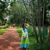 shipachakma2