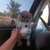 www.tiktok.dasha25