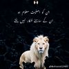 alihassang064