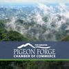 pigeonforgechamber