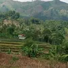 rizalcempaka