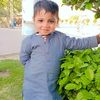 asif34241
