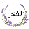 lavender_648