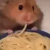 hammy__the__ham