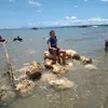 growagardenposts42