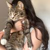 3crazycatzzz