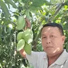 nguyn.vit4392
