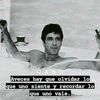 jorgeenrique710