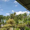 nguyentuan4700