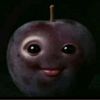 soggysocks_stuppid
