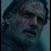 weareallrickgrimes