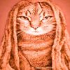 yhapojj_enjoyer