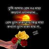 user5923216108003