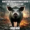 g._88a