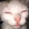 user8k1p0wsxt7