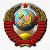 robin0101bm
