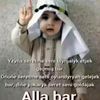 user8049608635431ray
